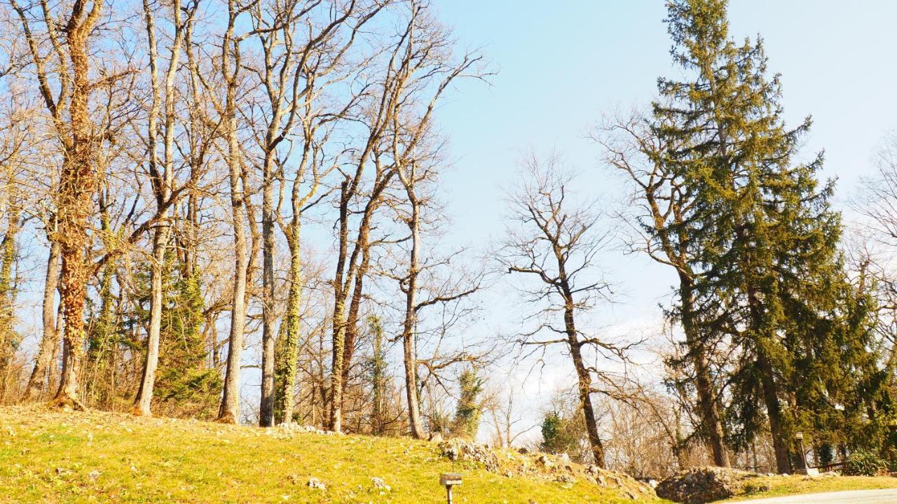 La Garenne De Morestel Εξωτερικό φωτογραφία